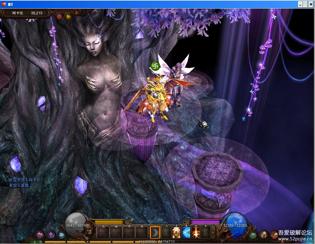 奇迹MU单机版eX802 格斗家 大师9层 紫装 挖矿